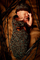Kasen 2012