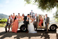 The Wedding Party