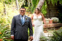 The First Look