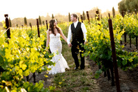 The Bride & Groom