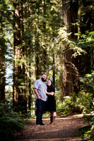 The Engagement Session